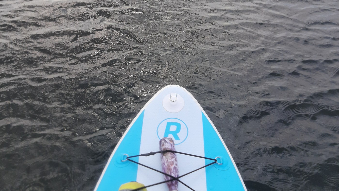 Paddleboard nose on the water